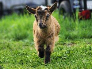 Screenshot_20250606_115518_Photos